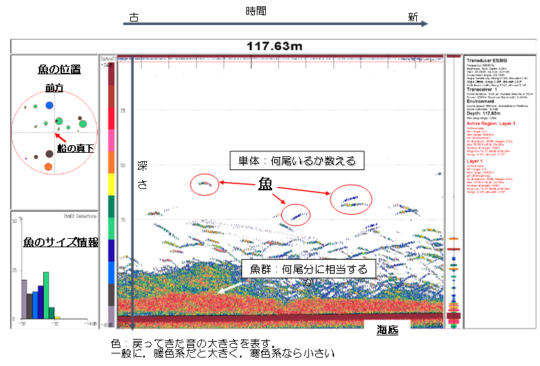 コース: 魚群探知機のいろいろ | LASBOS Moodle